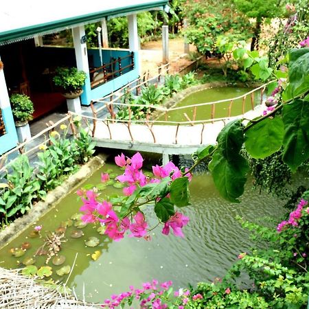 Hungry Lion Resort Sigirija Zewnętrze zdjęcie
