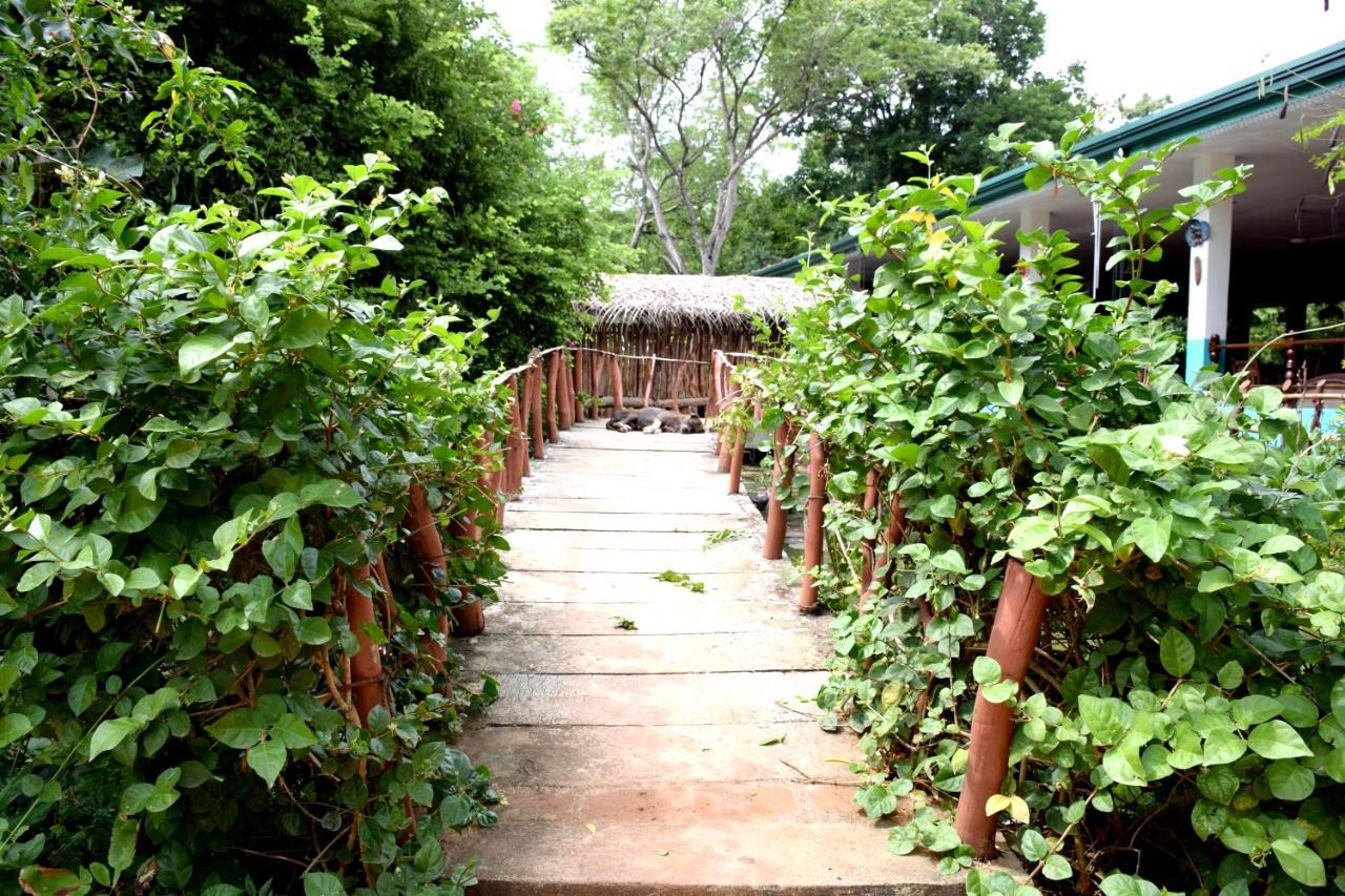 Hungry Lion Resort Sigirija Zewnętrze zdjęcie