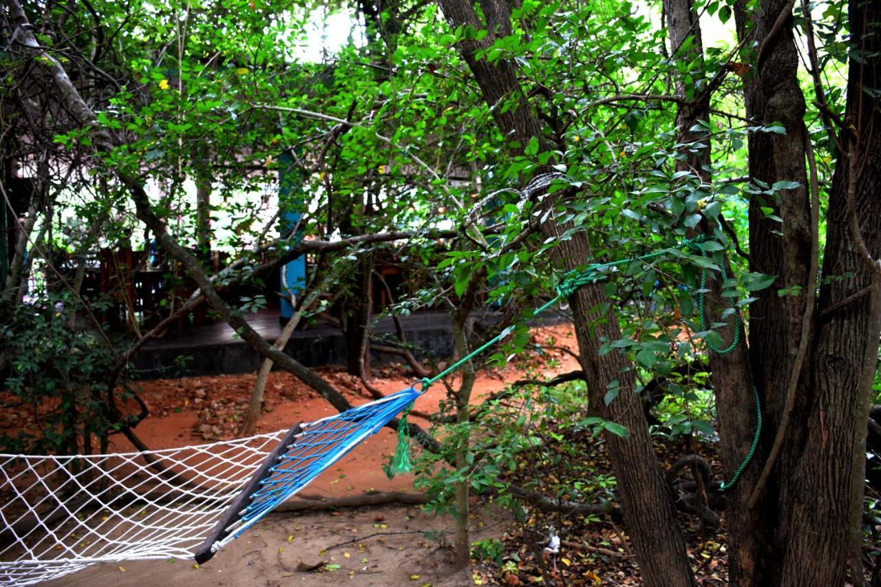 Hungry Lion Resort Sigirija Zewnętrze zdjęcie