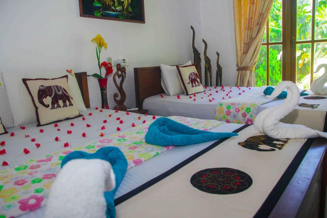 Hungry Lion Resort Sigirija Zewnętrze zdjęcie