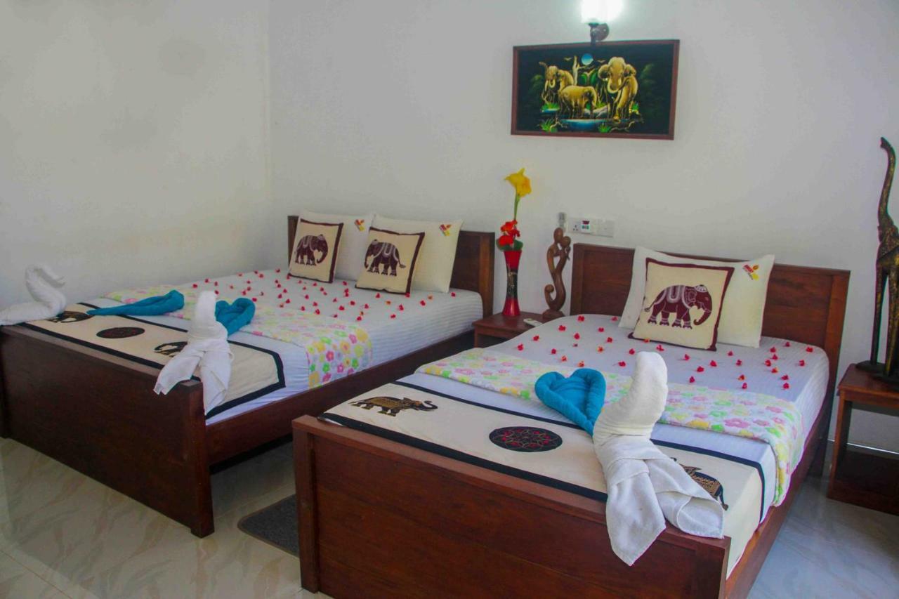 Hungry Lion Resort Sigirija Zewnętrze zdjęcie